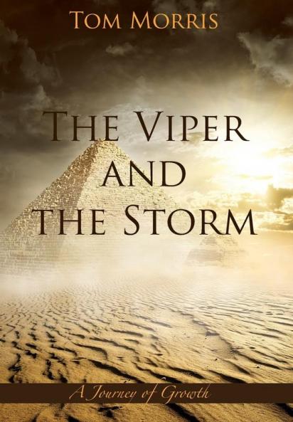 The Viper and the Storm: A Journey of Growth: 3 (Walid and the Mysteries of Phil)