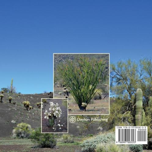 Rabbits and Rats Birds and Seeds Cactus and Trees: Plants and animals at work in El Pinacate Sonoran Desert Mexico