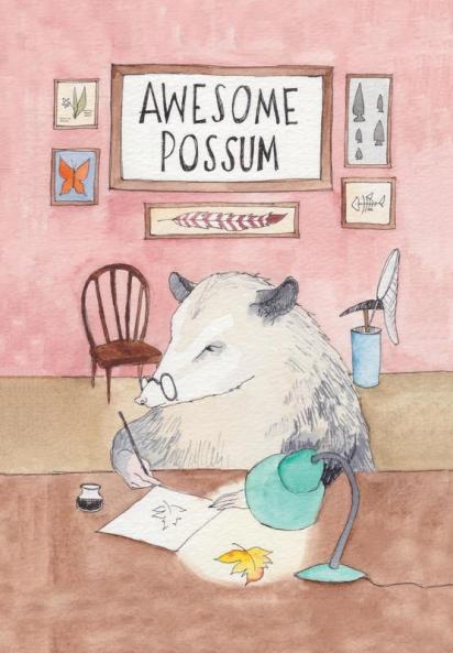 Awesome 'Possum Volume 1