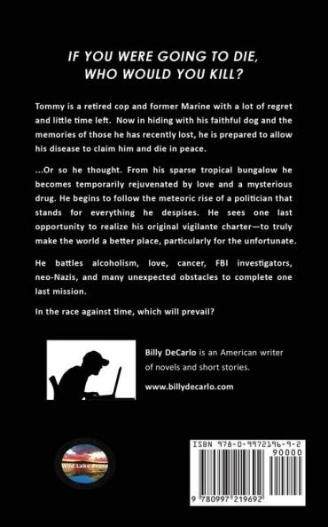 Vigilante Angels Book III: The Candidate: 3