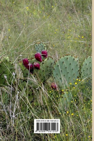 South Texas Experience