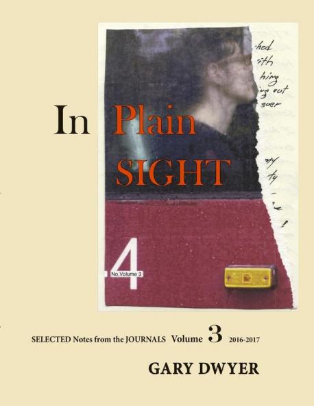 In Plain Sight Volume 3