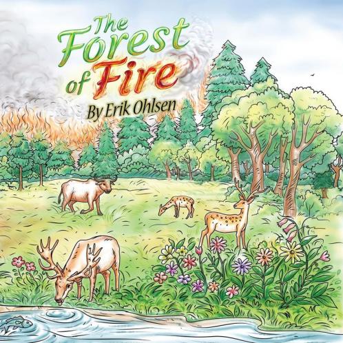 The Forest Of Fire: 4 (Storyscapes)