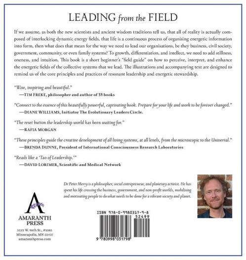 Leading from the Field: Twelve Principles for Energetic Stewardship