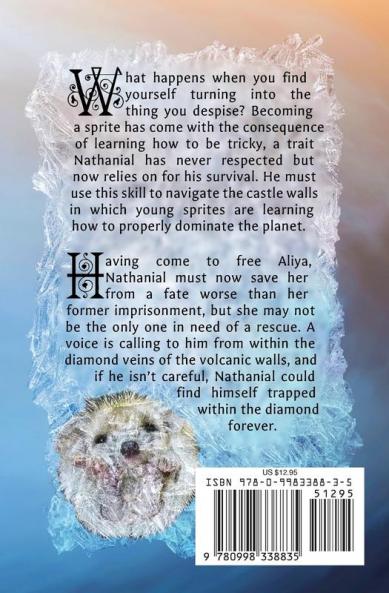 The Diamond Trials: Nathanial Thatcher Book 3