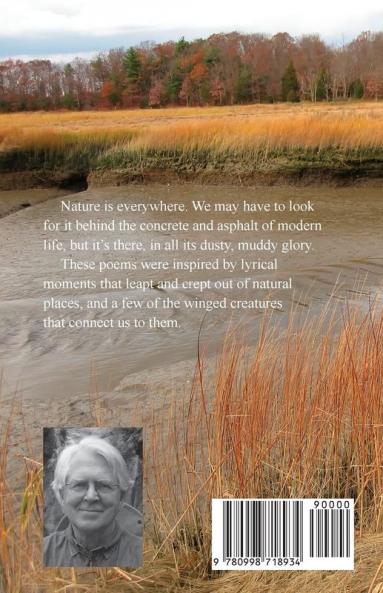 Back River: Verse by Jim Gronvold