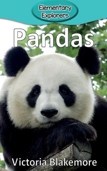 Pandas: 7 (Elementary Explorers)