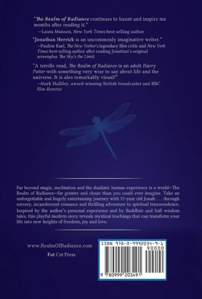 The Realm of Radiance: A Modern Fable