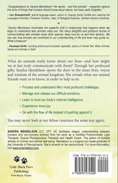 We Walk Beside You: Animal Messages for an Awakening World: 1