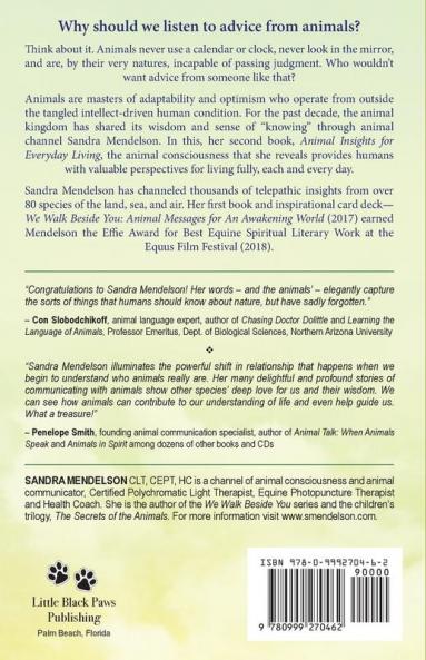We Walk Beside You Book 2: Animal Insights for Everyday Living