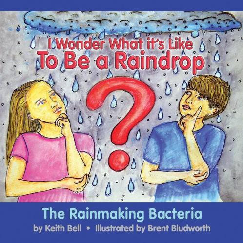 I Wonder What it's Like To Be a Raindrop