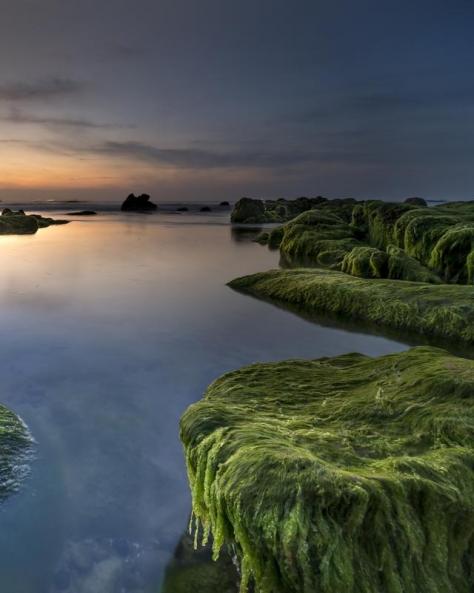 Study Journal - Sing Out Joyfully and Original Songs