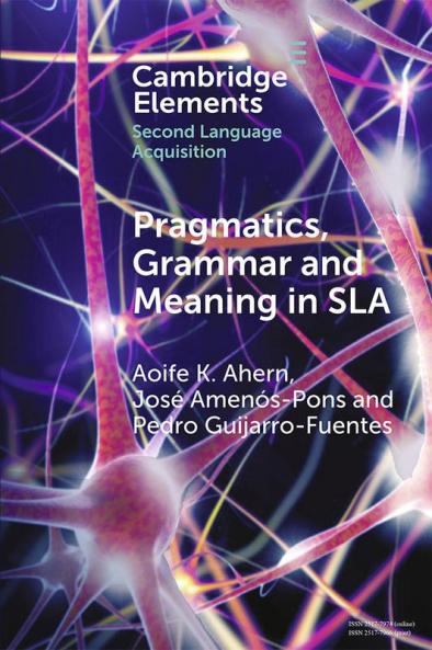 Pragmatics Grammar and Meaning in SLA