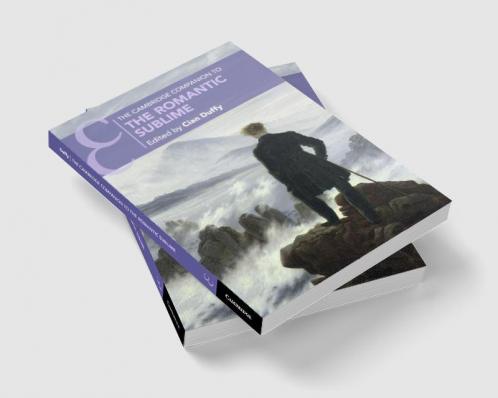 Cambridge Companion to the Romantic Sublime