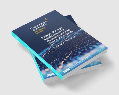 Energy Storage Applications in Transmission and Distribution Grids