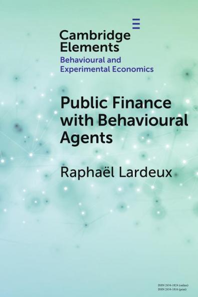 Public Finance with Behavioural Agents