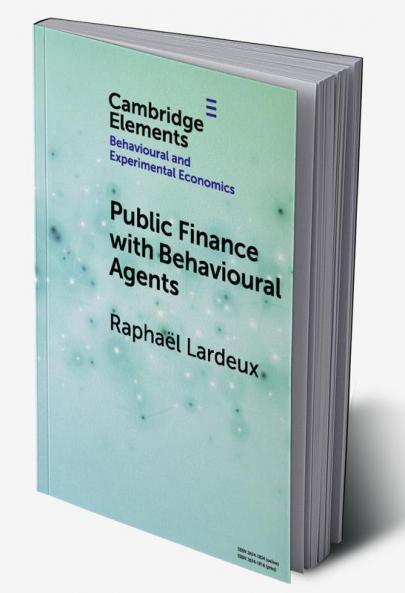 Public Finance with Behavioural Agents
