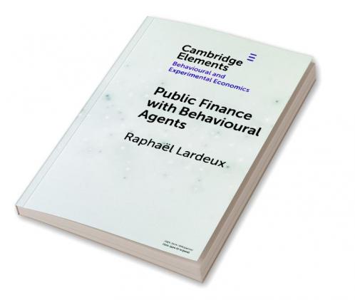 Public Finance with Behavioural Agents