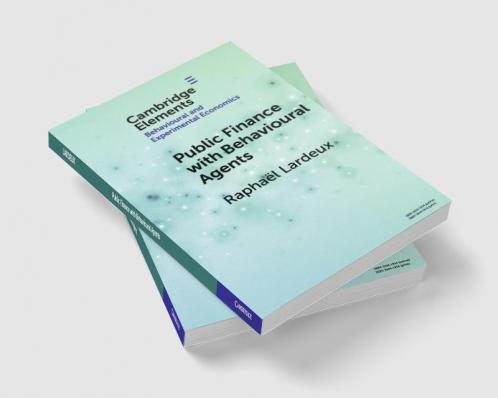 Public Finance with Behavioural Agents