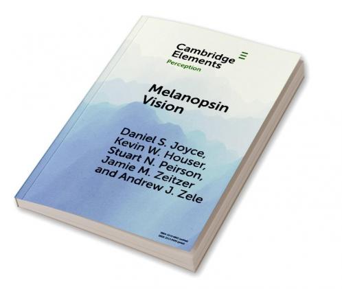 Melanopsin Vision
