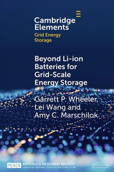 Beyond Li-ion Batteries for Grid-Scale Energy Storage