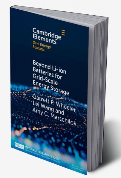 Beyond Li-ion Batteries for Grid-Scale Energy Storage