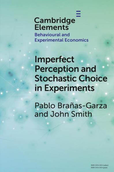Imperfect Perception and Stochastic Choice in Experiments