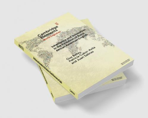 Inheritance and Innovation in the Evolution of Rural African American English