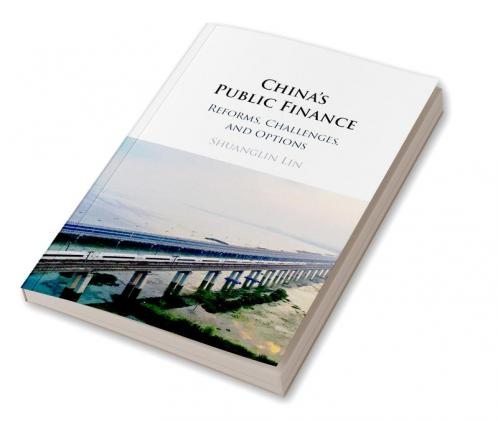China's Public Finance