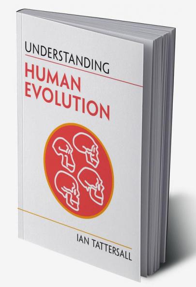 Understanding Human Evolution