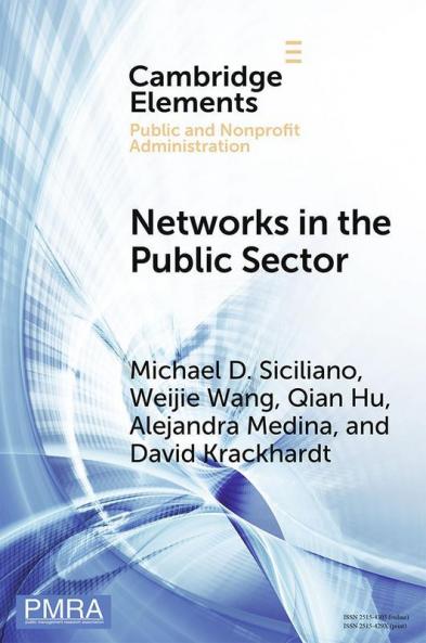 Networks in the Public Sector
