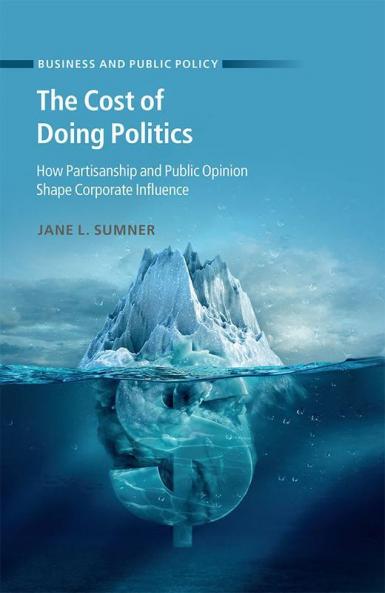 The Cost of Doing Politics