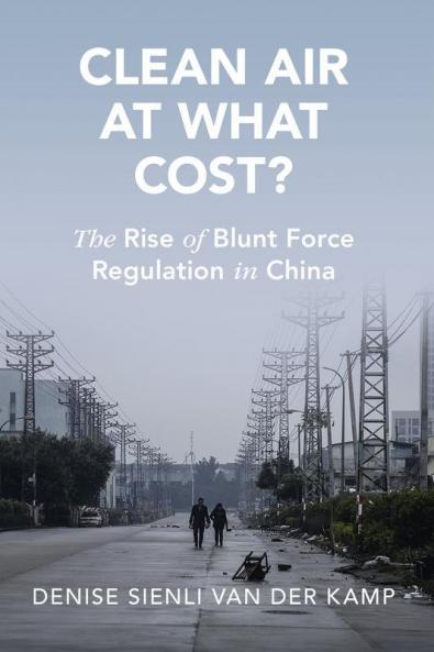 Clean Air at What Cost?
