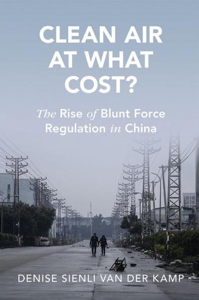 Clean Air at What Cost?