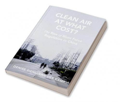 Clean Air at What Cost?