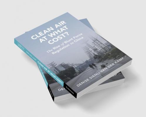 Clean Air at What Cost?