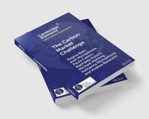 The Carbon Market Challenge