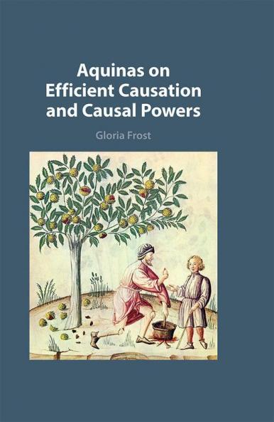 Aquinas on Efficient Causation and Causal Powers