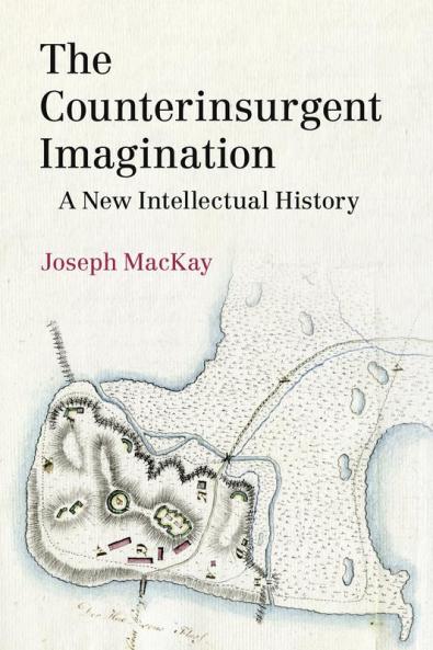 The Counterinsurgent Imagination