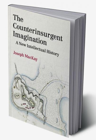 The Counterinsurgent Imagination