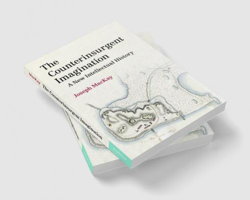 The Counterinsurgent Imagination