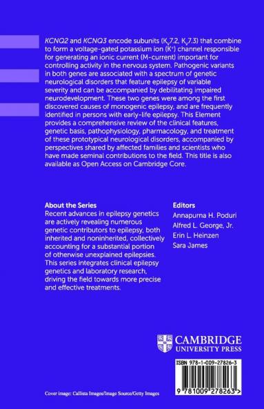 KCNQ2- and KCNQ3-Associated Epilepsy