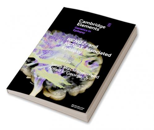 KCNQ2- and KCNQ3-Associated Epilepsy