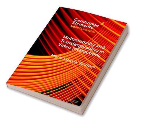 Multimodality and Translanguaging in Video Interactions