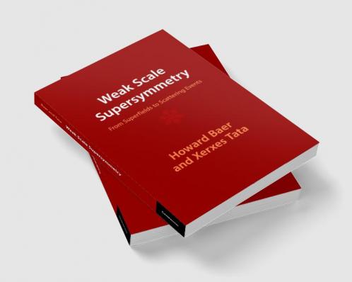 Weak Scale Supersymmetry