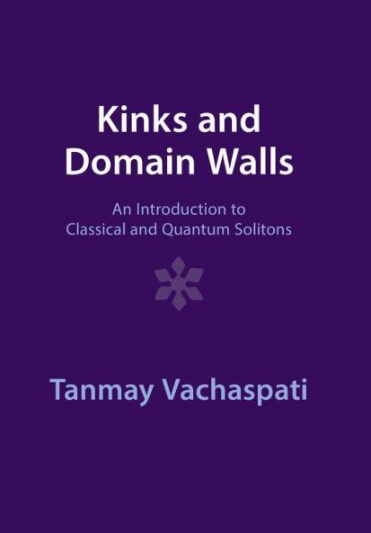 Kinks and Domain Walls