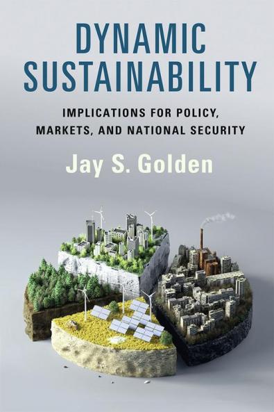 Dynamic Sustainability