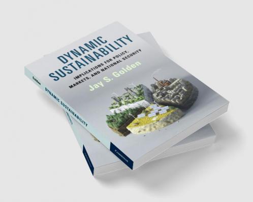 Dynamic Sustainability
