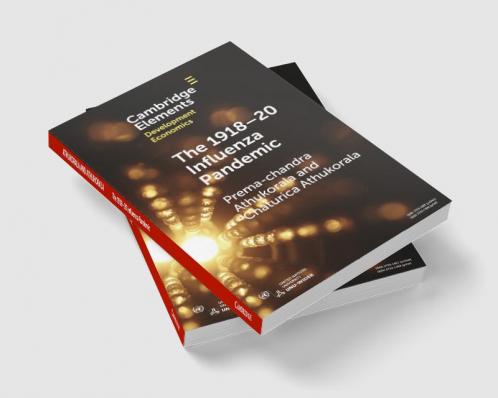 The 1918-20 Influenza Pandemic