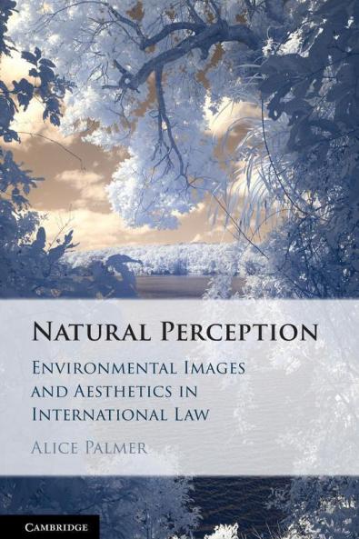 Natural Perception